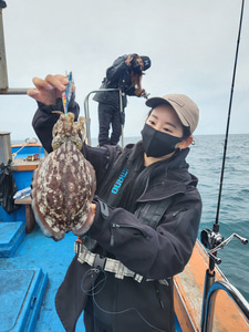 [산지직송] 완도락 자연산 반건조 대왕갑오징어 1미
